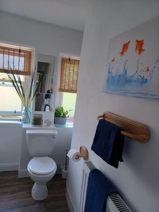 Appartamento The Fuzzy Duck Broughty Ferry Esterno foto